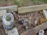 image of grave number 360268